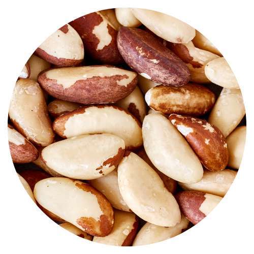 Brazil Nut Walnut Dates and Nuts The complete online store for