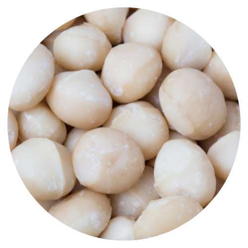 Macadamia Nuts Walnut Dates and Nuts The complete online store for