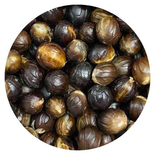 Nutmeg Seed Walnut Dates and Nuts The complete online store for